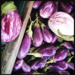 summer eggplant