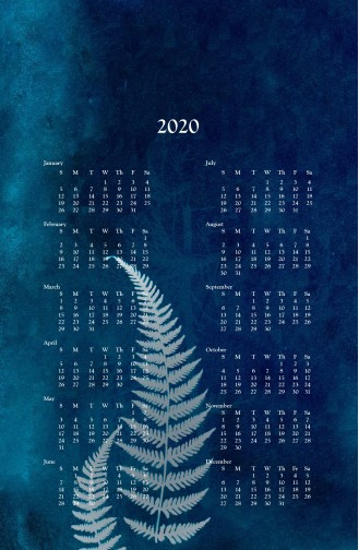 2020 wall calendar -cyanotype fern