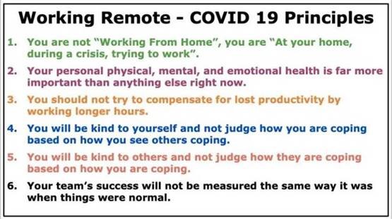 Working Remote - COVID 19 Principles
